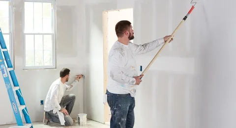 Painting-optimized Painting-optimized
